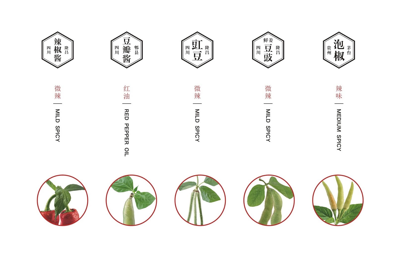 醬汁包裝設(shè)計